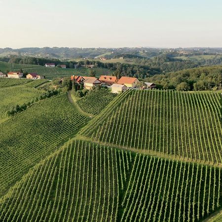 Bed and Breakfast Wine & Tourism Bracko Spodnji Jakobski Dol Exterior foto